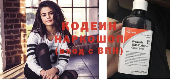 шишки Слюдянка